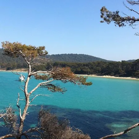 Island * Porquerolles