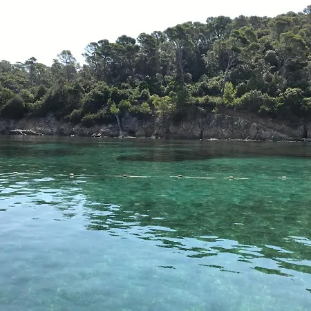 Island Tekne *